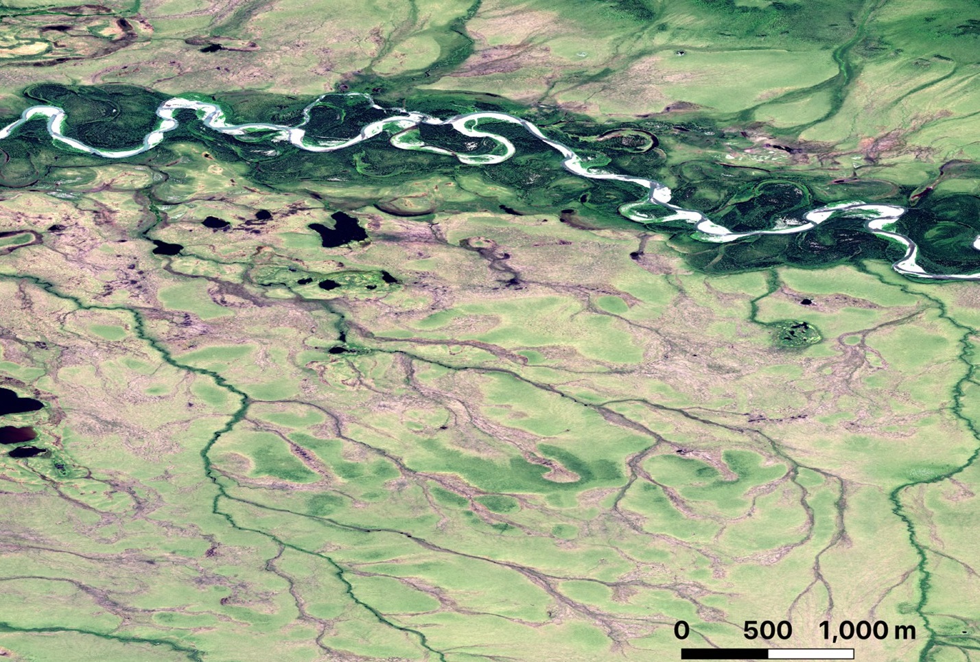 Satellite imagery shows Selawik River drainage networks at various states of development and connectivity